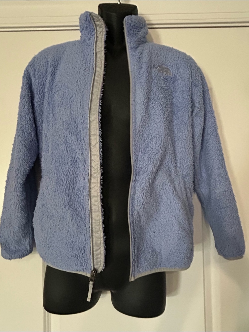 The North Face Women's Pale Blue Teddy Fleece Zip Jacket